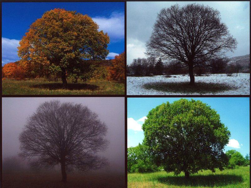 03 Zlata Tomljenovic 3NAGR